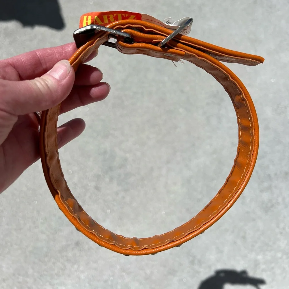 NWT Vintage Hartz orange dog collar with studs. Weather proof and length is 23”